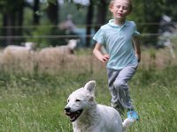 Puppys van Bliss040622-0064